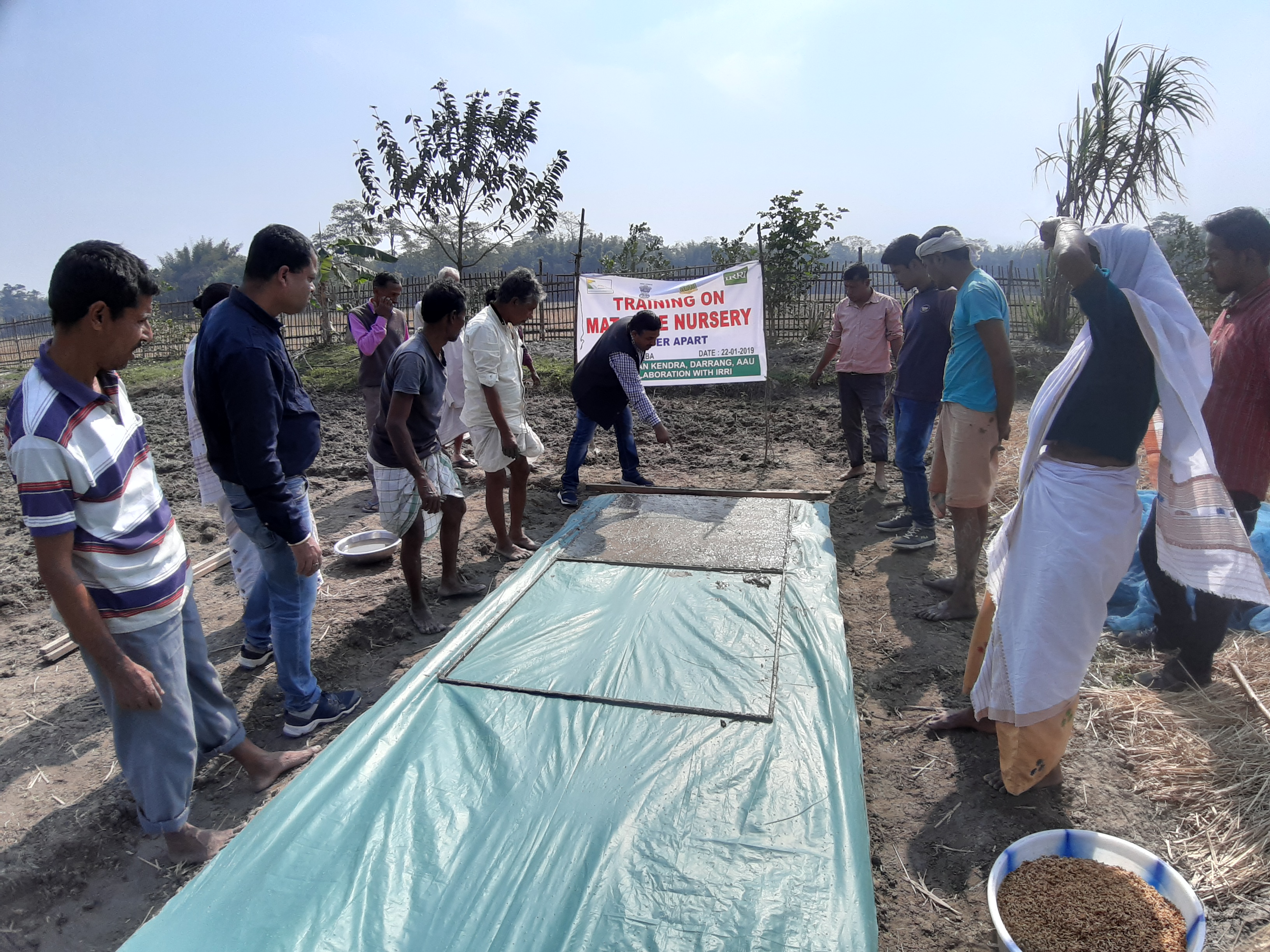 দৰঙত যান্ত্ৰিক পদ্ধতিৰে ধান ৰোপণৰ প্ৰৰ্দশনীমূলক খেতি
