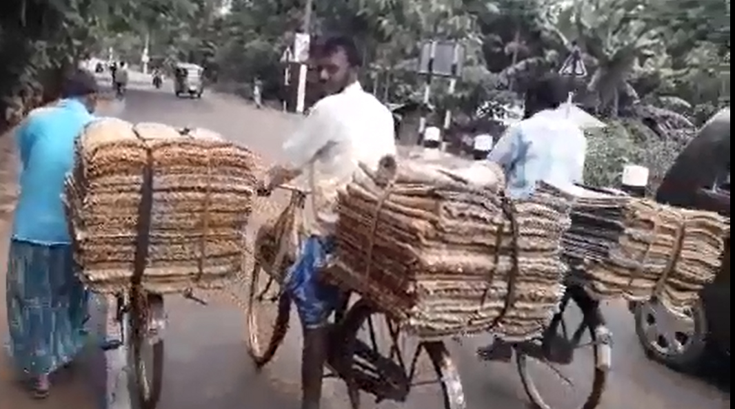 কঠ বনাই জীৱন নিৰ্বাহ কৰা এজাক দুৰ্ভগীয়া মানুহৰ জীৱন গাথা