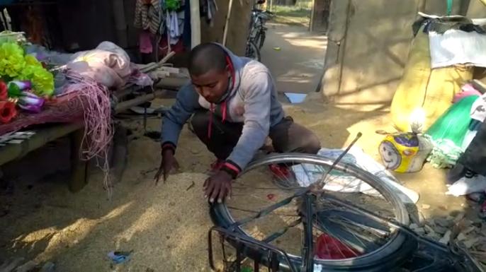 তামুলপুৰৰ কাউলীত বনৰীয়া হাতীৰ তাণ্ডৱ : এজন কিশোৰ আহত