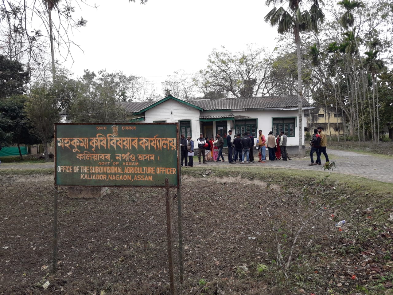 কলিয়াবৰ মহকুমা কৃষি বিষয়াৰ কাৰ্যালয়ত তলা ওলমালে বিজেপিৰ কিষাণ মৰ্চাই