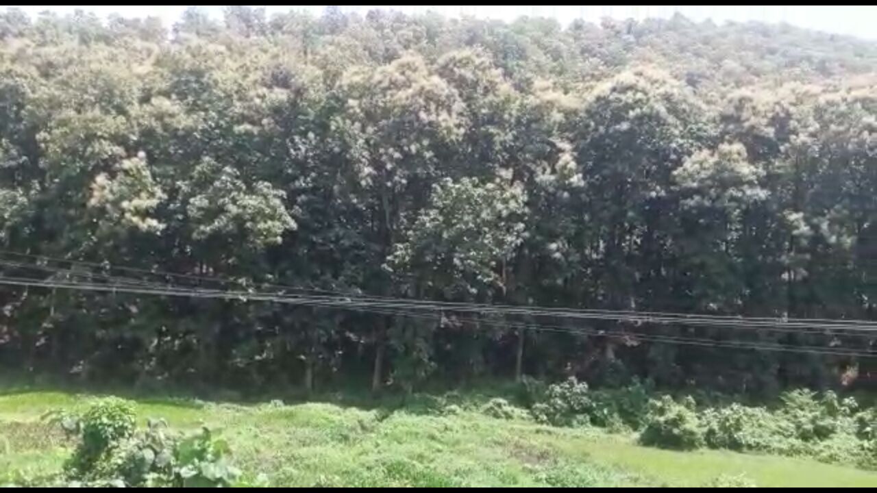 নগাঁৱৰ বগাজুৰি মন্দিৰৰ চমু ইতিবৃত্ত