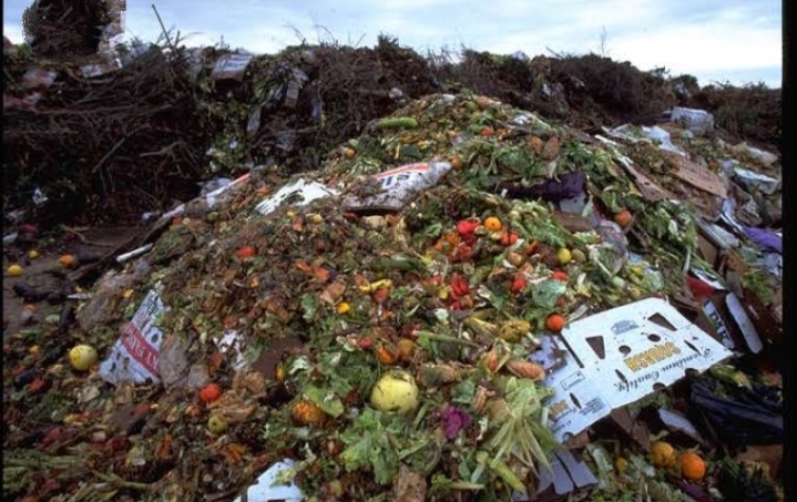 wastage of food 