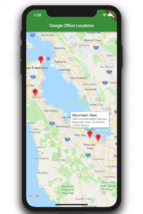 Google Map
