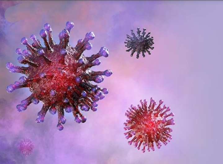 Coronavirus