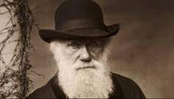 Darwin