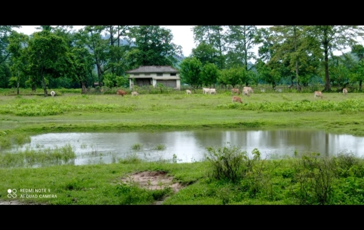 এৰী সমাহাৰ কেন্দ্ৰ