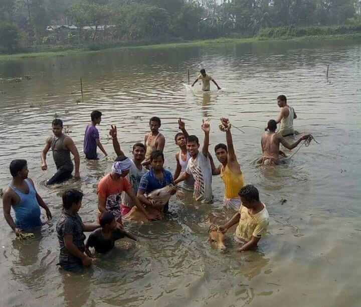 bihu3