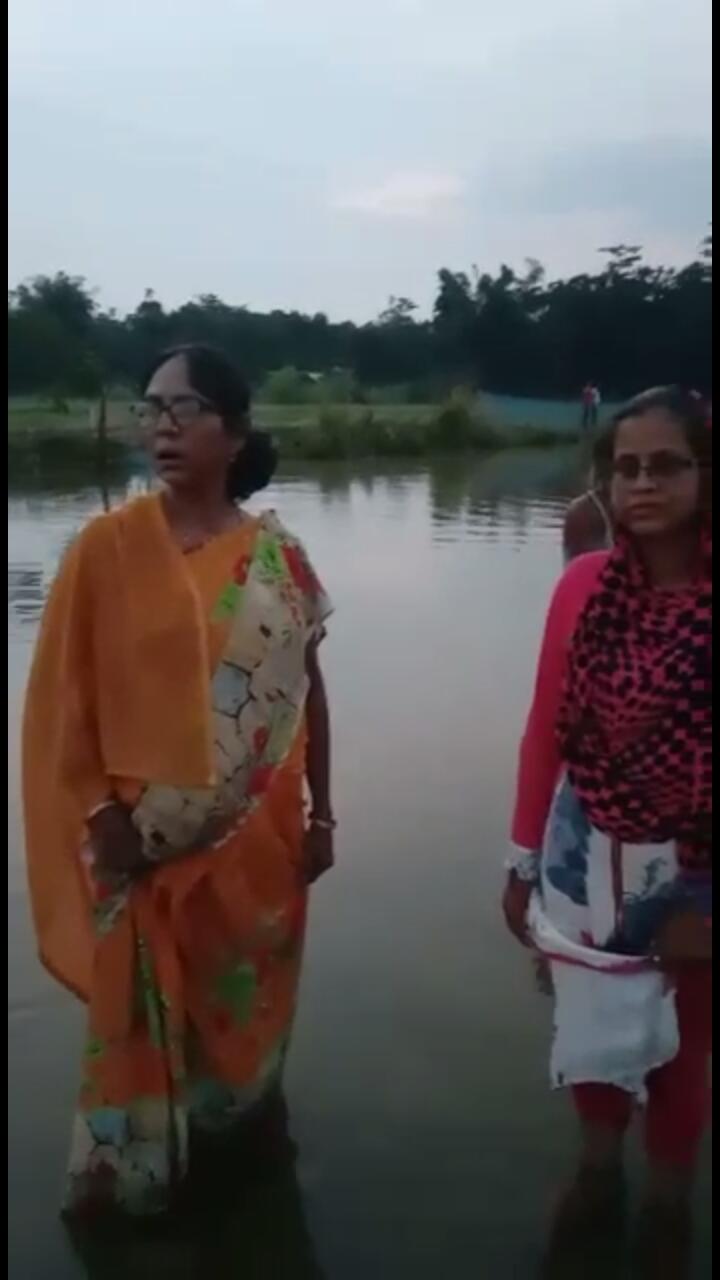 barak2