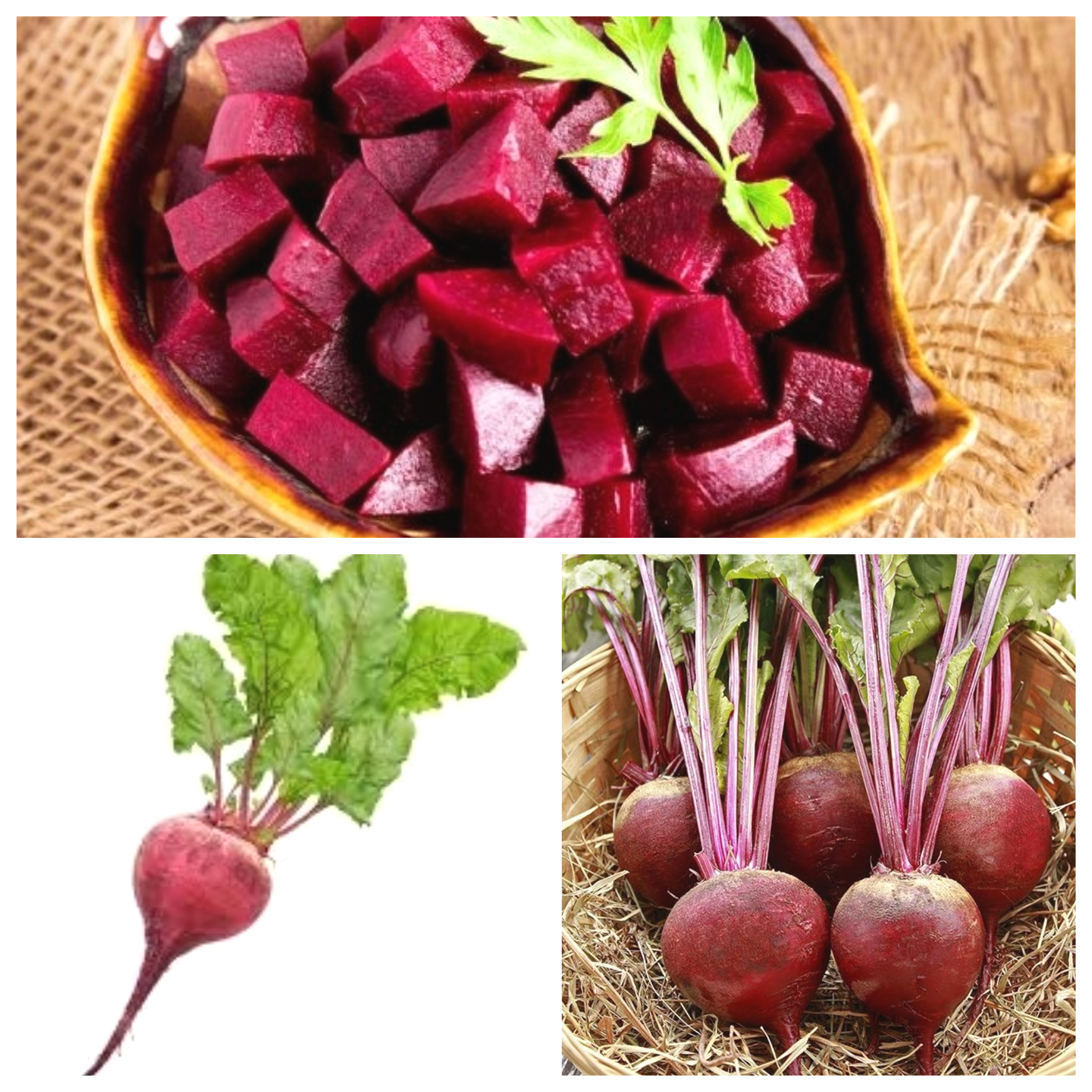 beet