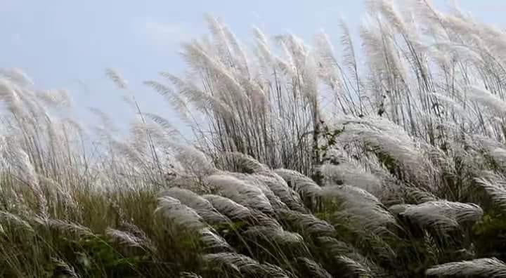 শৰতে আনে মাজুলীবাসীৰ মাজলৈ সৰল জীৱন গাঁথা 