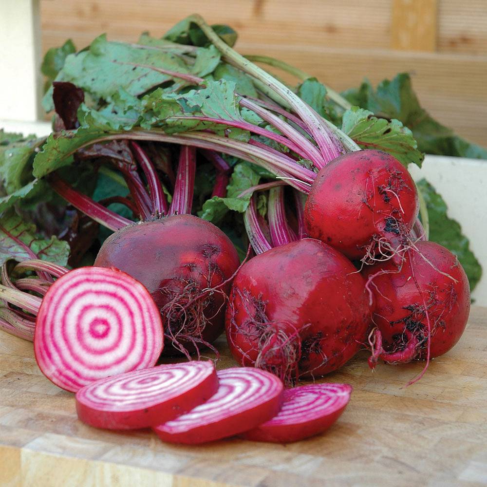 beet