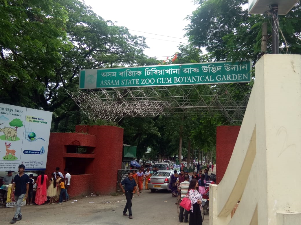 zoo