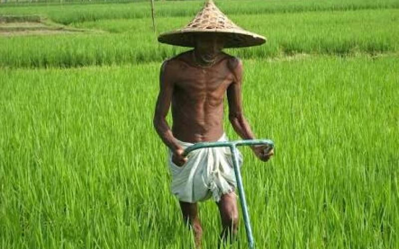 agriculture