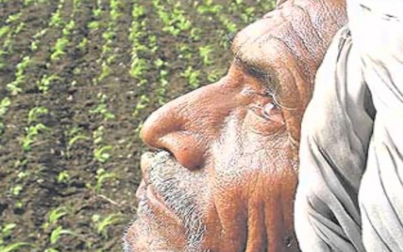 মহাৰাষ্ট্ৰত ৩ মাহতে ৬৩৯ কৃষকৰ আত্মহত্যা