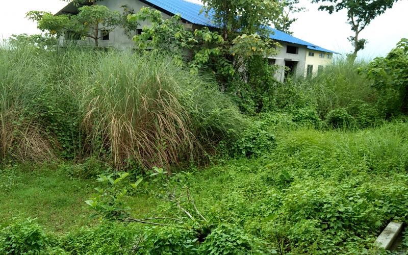 তুলসীবাৰীৰ আই টি আই মুকলি হ'ব কেতিয়া ?