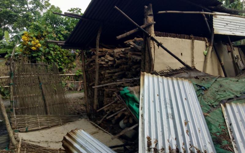 নাগ্ৰীজুলিত পুনৰ বনৰীয়া হাতীৰ তাণ্ডৱ
