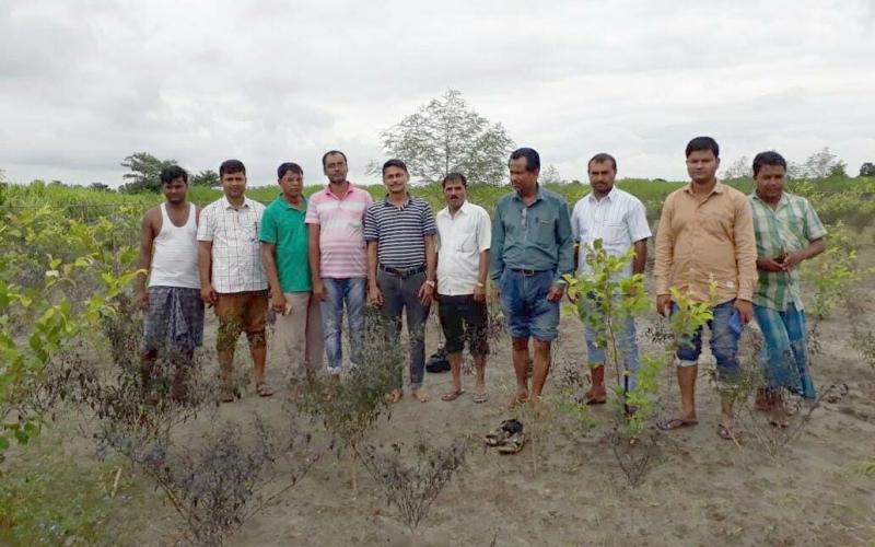 চেঙাৰ ৰৌমাৰীত শিক্ষিত যুৱকৰ কৃষিকৰ্মেৰে স্বাবলম্বী হোৱাৰ সপোন