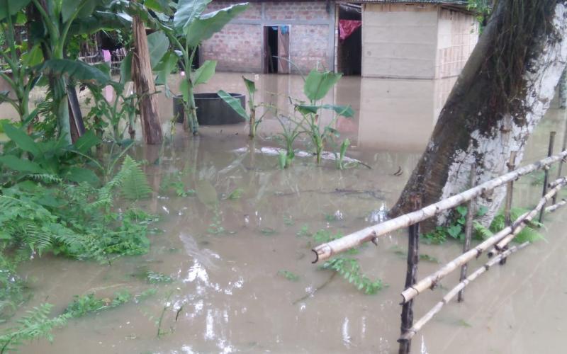 বাঢ়নী পানীত প্লাবিত ওৰাঙৰ বহু গাঁও