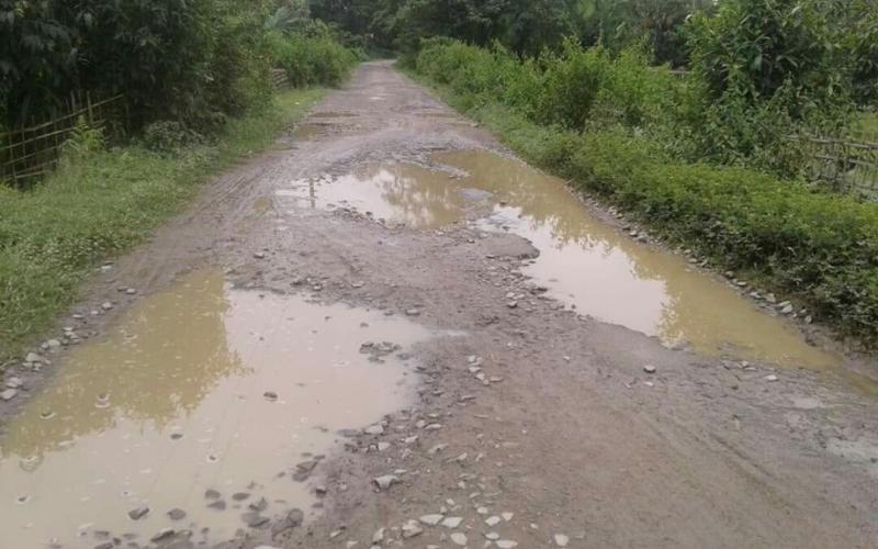 মৰণফান্দত পৰিণত ঐতিহাসিক নেফা আলি