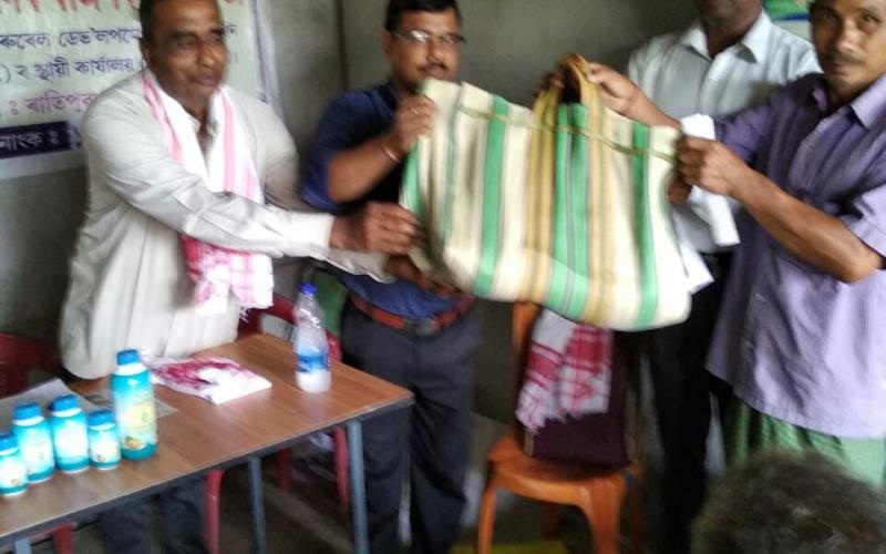 বৰপেটাৰ পাকাত বিনামূলীয়া ধানৰ বীজ বিতৰণ স্বেচ্ছাসেৱী সংস্থাৰ