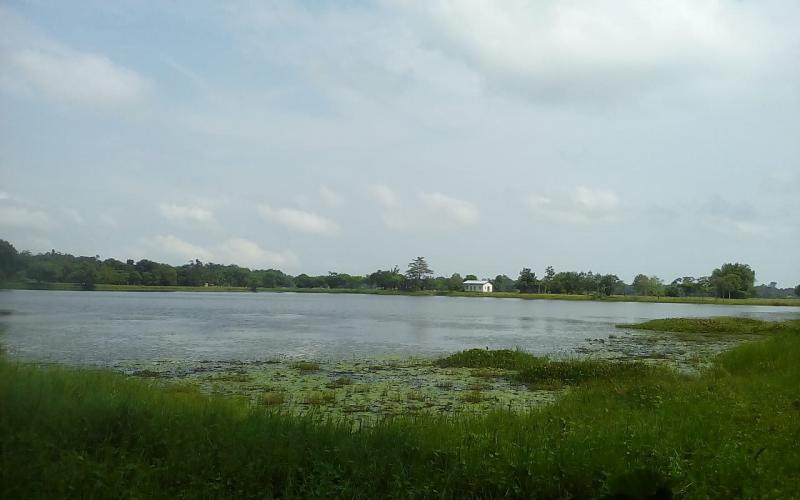 ঐতিহাসিক ৰাধাপুখুৰী পৰ্যৱসিত হৈছে পিতনিলৈ