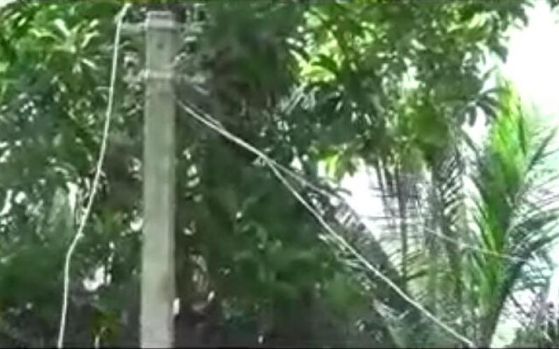 বিদ্যুৎ বিভাগৰ গাফিলতিঃ বিদ্যুৎ পৰিবাহী তাঁৰ ছিগি পৰি থাকিল বিদ্যালয়ৰ সন্মুখত