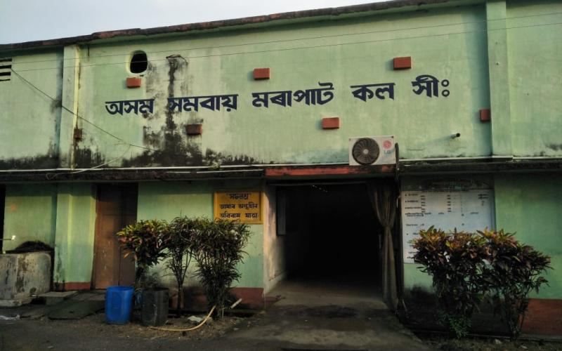 শিলঘাটৰ অসম সমবায় মৰাপাট কলত মৃত্যু ঘণ্টা