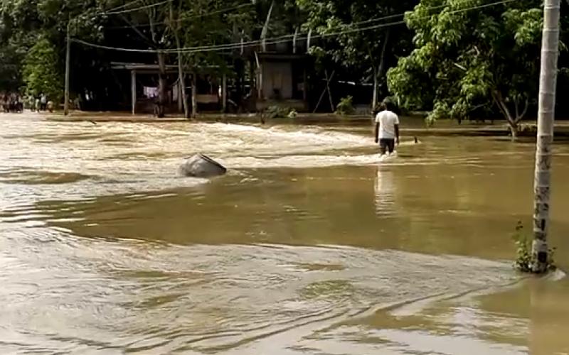 তামুলপুৰত আহিনৰ বানৰ সংহাৰ : উটুৱাই নিলে দলং