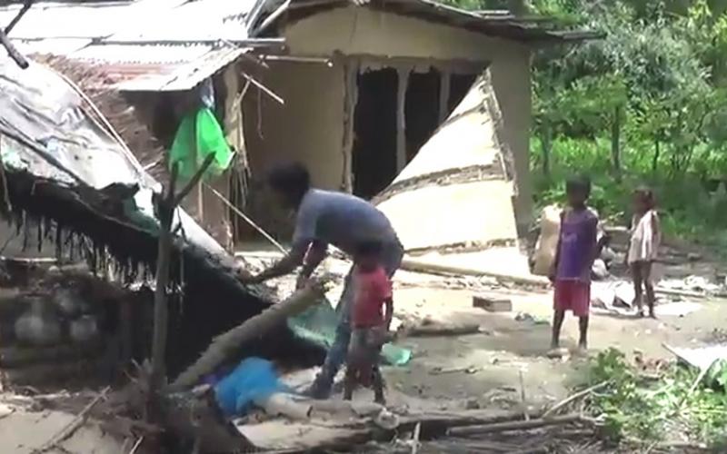 নাগ্ৰীজুলিত বনৰীয়া হাতীৰ তাণ্ডৱ : বিদ্যালয়ৰ মাধ্যাহ্ন ভোজনৰ চাউল-দাইল খালে বনৰীয়া হাতীয়ে