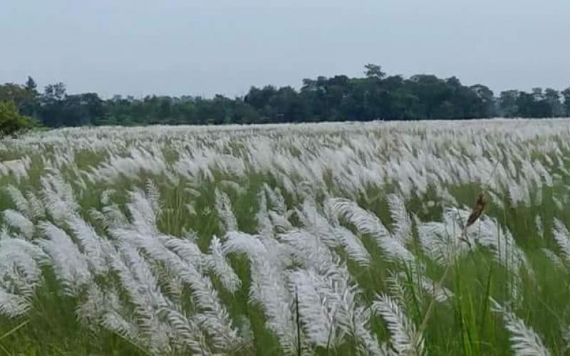 শৰতে আনে মাজুলীবাসীৰ মাজলৈ সৰল জীৱন গাঁথা