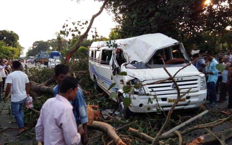 কলিয়াবৰত ট্ৰেভেলাৰৰ ওপৰত পৰিল গছৰ ডাল : ১জনৰ অৱস্থা সংকটজনক