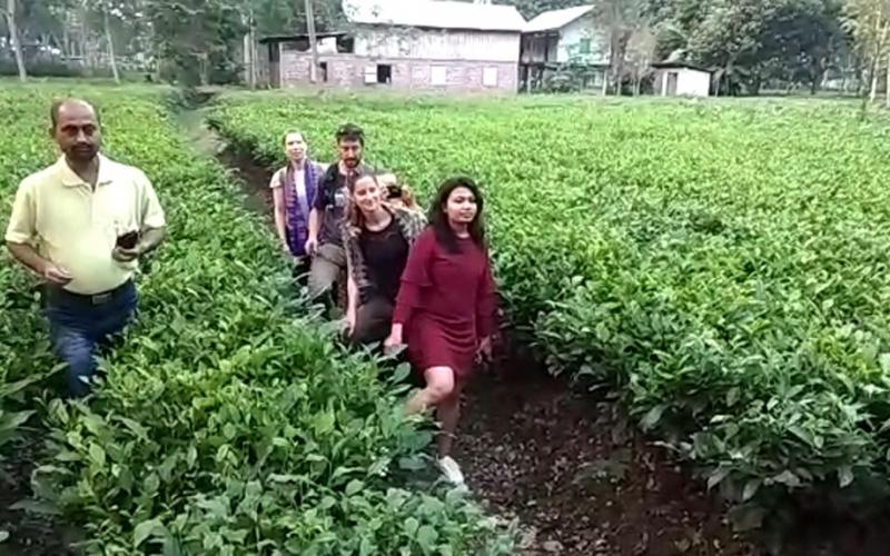 জৈৱিক চাহখেতি প্ৰত্যক্ষ কৰি অভিভূত জাৰ্মান আৰু ফ্ৰান্সৰ পৰ্যটক