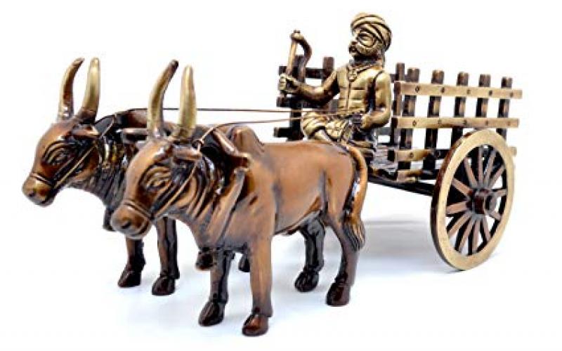 গুজৰাট বিশ্ববিদ্যালয় চৌহদত চলিব গৰুগাড়ী