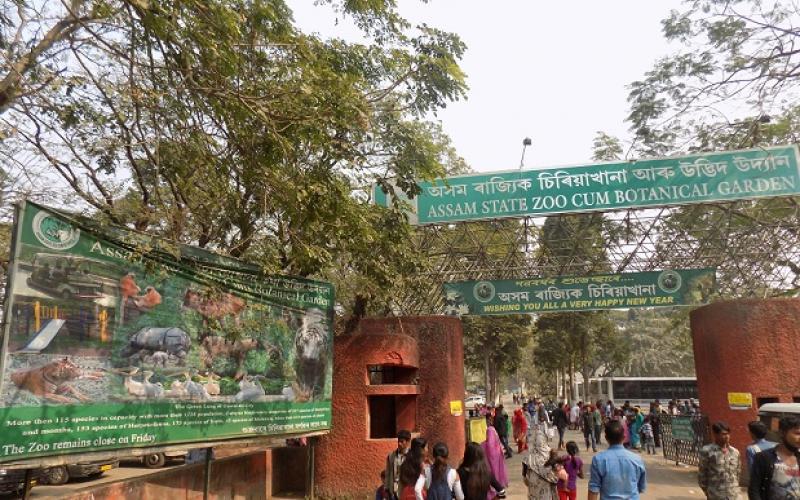 নৱবৰ্ষৰ প্ৰথম দিনটোত চিৰিয়াখানাত সংগ্ৰহ ৩.৭২ লাখ ৰাজহ