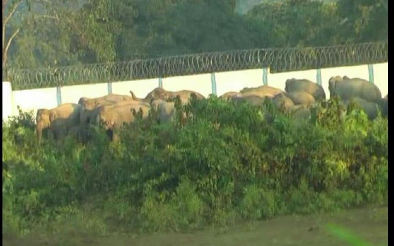 নুমলীগড় তেল শোধনাগাৰৰ হস্তী কৰিড'ৰৰ পকী দেৱাল ভঙাৰ নিৰ্দেশ উচ্চতম ন্যায়ালয়ৰ