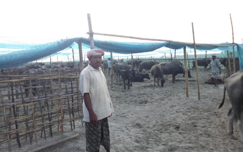majuli