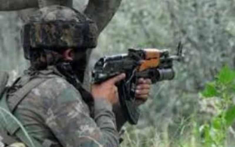 Nscn