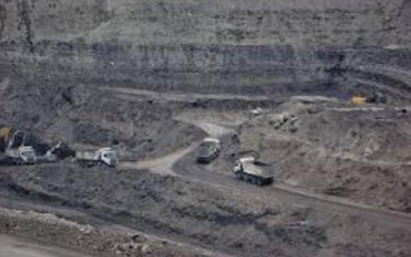 Coal