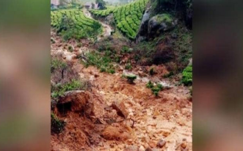 Landslide Death