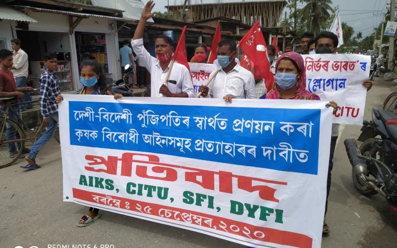হাজো