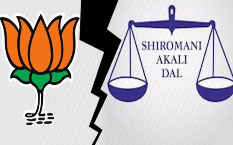 Bjp vs. Akali Dal.