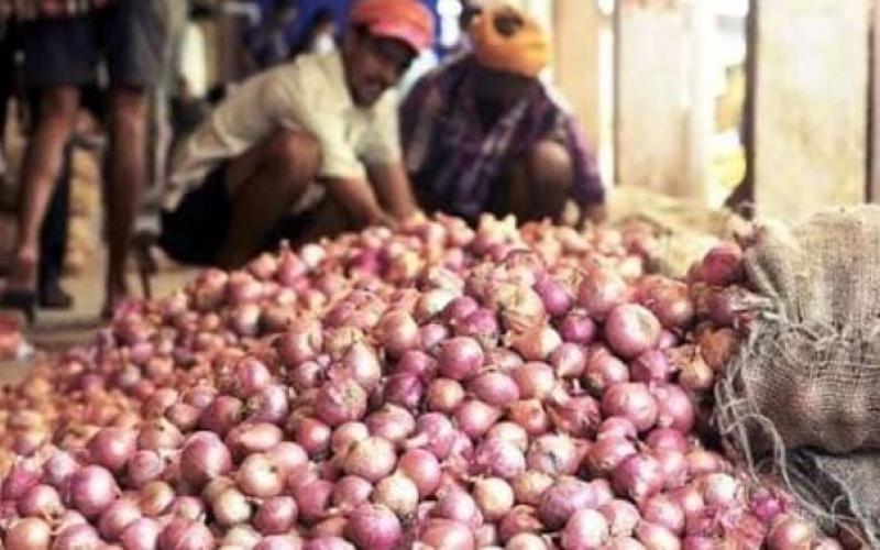 Onions
