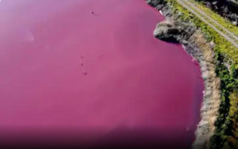 Pink water