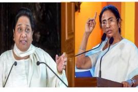 mamata