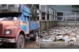 নগাঁৱত বন বিভাগৰ অভিযানত জব্দ ট্ৰাক-টাটা মোবাইল 