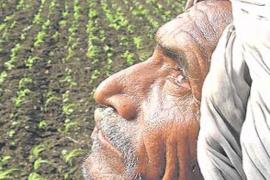 মহাৰাষ্ট্ৰত ৩ মাহতে ৬৩৯ কৃষকৰ আত্মহত্যা