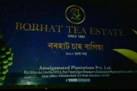 বৰহাট চাহবাগিচাত গুলীচালনাৰ শব্দ