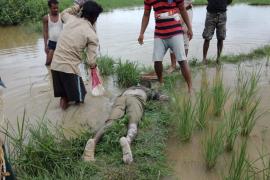 amguli_death