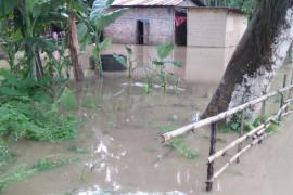 বাঢ়নী পানীত প্লাবিত ওৰাঙৰ বহু গাঁও