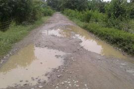 মৰণফান্দত পৰিণত ঐতিহাসিক নেফা আলি